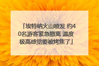 埃特纳火山喷发 约40名游客紧急撤离 温度极高感觉要被烤焦了