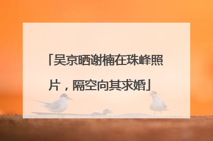 吴京晒谢楠在珠峰照片，隔空向其求婚