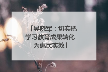 吴晓军：切实把学习教育成果转化为惠民实效