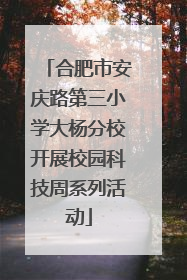 合肥市安庆路第三小学大杨分校开展校园科技周系列活动