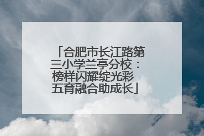 合肥市长江路第三小学兰亭分校：榜样闪耀绽光彩 五育融合助成长