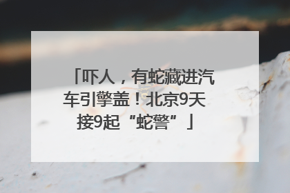吓人，有蛇藏进汽车引擎盖！北京9天接9起“蛇警”