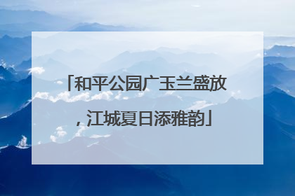和平公园广玉兰盛放，江城夏日添雅韵
