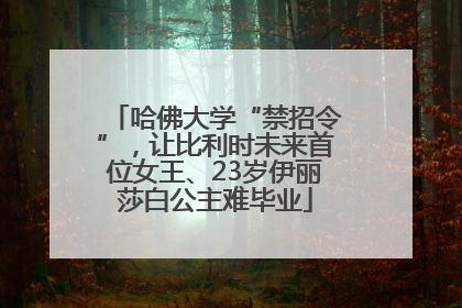 哈佛大学“禁招令”，让比利时未来首位女王、23岁伊丽莎白公主难毕业