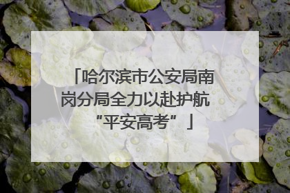 哈尔滨市公安局南岗分局全力以赴护航“平安高考”