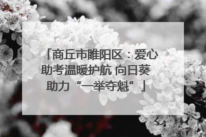 商丘市睢阳区：爱心助考温暖护航 向日葵助力“一举夺魁”