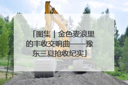 图集｜金色麦浪里的丰收交响曲——豫东三夏抢收纪实