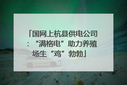 国网上杭县供电公司：“满格电”助力养殖场生“鸡”勃勃