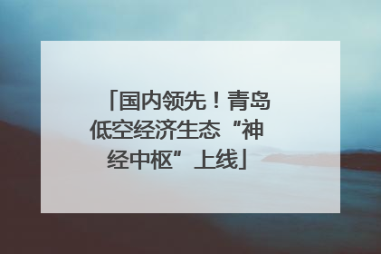 国内领先！青岛低空经济生态“神经中枢”上线