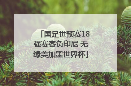 国足世预赛18强赛客负印尼 无缘美加墨世界杯