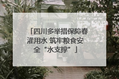 四川多举措保障春灌用水 筑牢粮食安全“水支撑”