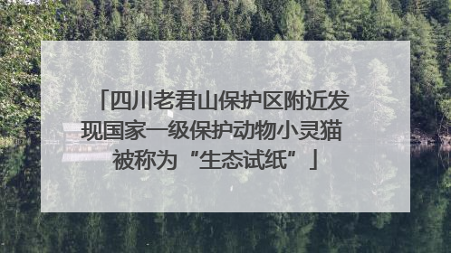 四川老君山保护区附近发现国家一级保护动物小灵猫 被称为“生态试纸”