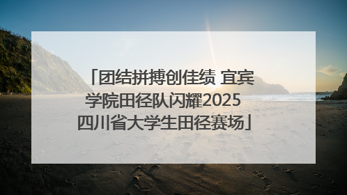 团结拼搏创佳绩 宜宾学院田径队闪耀2025四川省大学生田径赛场