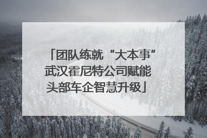 团队练就“大本事” 武汉霍尼特公司赋能头部车企智慧升级