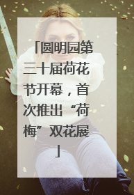 圆明园第三十届荷花节开幕，首次推出“荷梅”双花展
