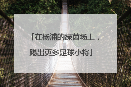 在杨浦的绿茵场上，踢出更多足球小将
