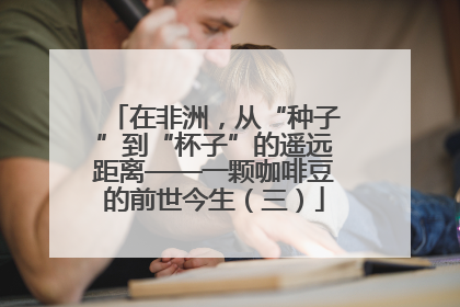 在非洲，从“种子”到“杯子”的遥远距离——一颗咖啡豆的前世今生（三）