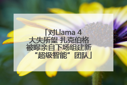 对Llama 4大失所望 扎克伯格被曝亲自下场组建新“超级智能”团队