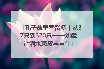 孔子故里孝贤多｜从37只到320只——刘健让泗水裘皮羊重生