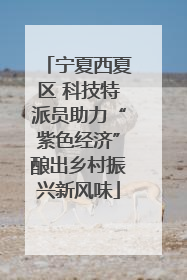 宁夏西夏区 科技特派员助力“紫色经济”酿出乡村振兴新风味