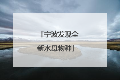 宁波发现全新水母物种