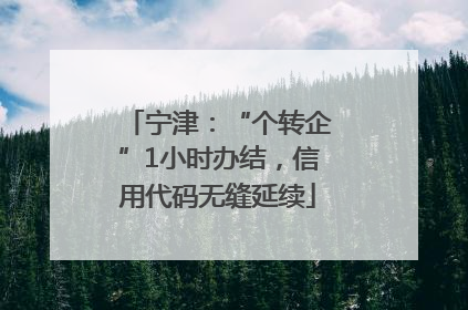 宁津：“个转企”1小时办结，信用代码无缝延续