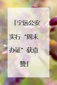 宁远公安实行“周末办证”获点赞