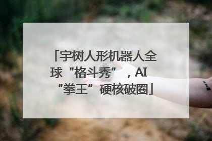 宇树人形机器人全球“格斗秀”，AI“拳王”硬核破圈