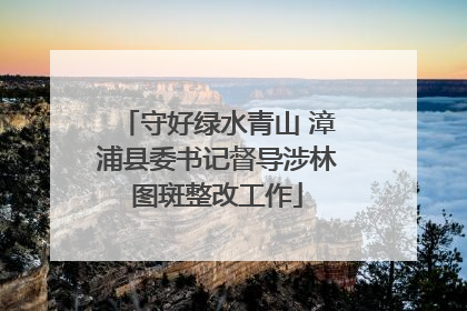守好绿水青山 漳浦县委书记督导涉林图斑整改工作