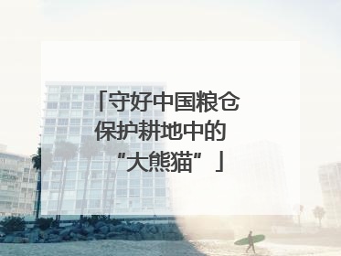 守好中国粮仓 保护耕地中的“大熊猫”