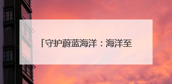 守护蔚蓝海洋：海洋至尊与青年携手用科技与行动之力托起纯净未来