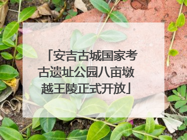 安吉古城国家考古遗址公园八亩墩越王陵正式开放