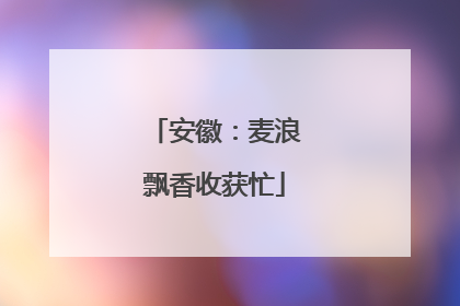 安徽：麦浪飘香收获忙