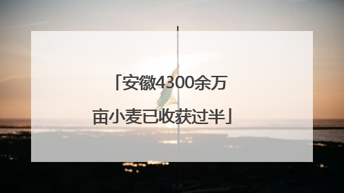 安徽4300余万亩小麦已收获过半