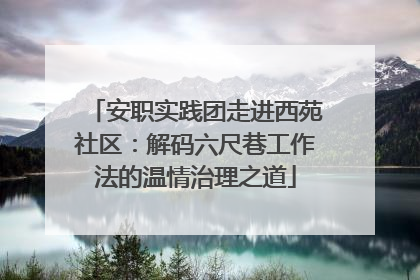 安职实践团走进西苑社区：解码六尺巷工作法的温情治理之道