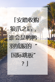 安踏收购狼爪之后，谁会是鸭鸭羽绒服的“国际跳板”？