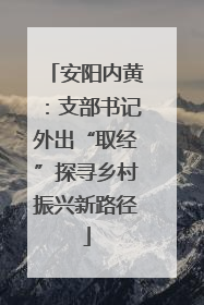 安阳内黄：支部书记外出“取经”探寻乡村振兴新路径