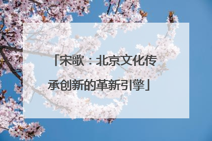 宋歌：北京文化传承创新的革新引擎