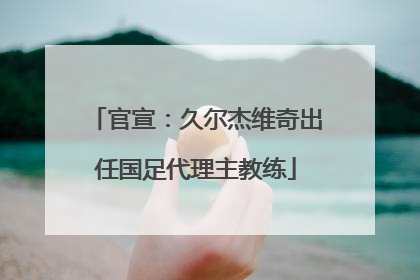 官宣：久尔杰维奇出任国足代理主教练