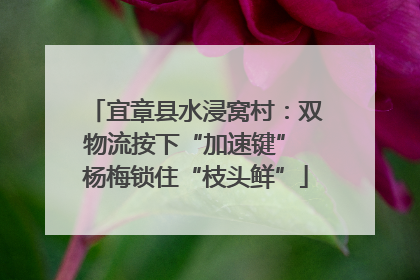 宜章县水浸窝村：双物流按下“加速键” 杨梅锁住“枝头鲜”