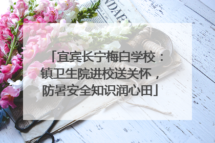 宜宾长宁梅白学校：镇卫生院进校送关怀，防暑安全知识润心田