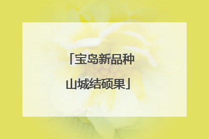 宝岛新品种 山城结硕果