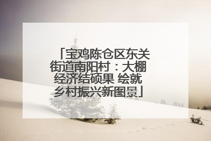 宝鸡陈仓区东关街道南阳村：大棚经济结硕果 绘就乡村振兴新图景