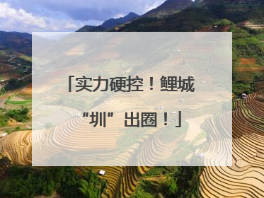 实力硬控！鲤城“圳”出圈！