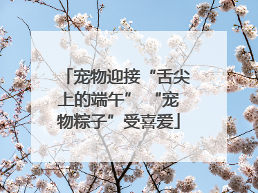 宠物迎接“舌尖上的端午” “宠物粽子”受喜爱