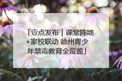 壹点发布｜课堂阵地+家校联动 德州青少年禁毒教育全覆盖