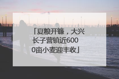 夏粮开镰，大兴长子营镇近6000亩小麦迎丰收