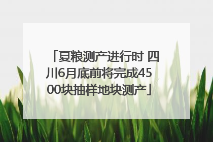 夏粮测产进行时 四川6月底前将完成4500块抽样地块测产