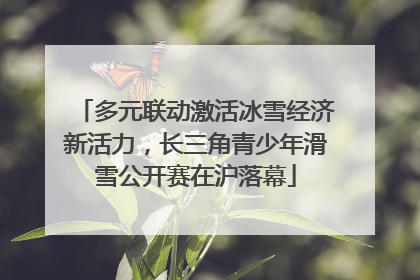 多元联动激活冰雪经济新活力，长三角青少年滑雪公开赛在沪落幕