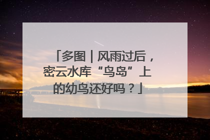 多图｜风雨过后，密云水库“鸟岛”上的幼鸟还好吗？